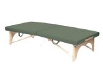 True Touch Upholstery <br> 
<b> Sage  </b>