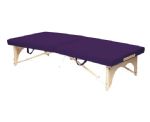 Standard Upholstery <br> 
<b> Purple </b>