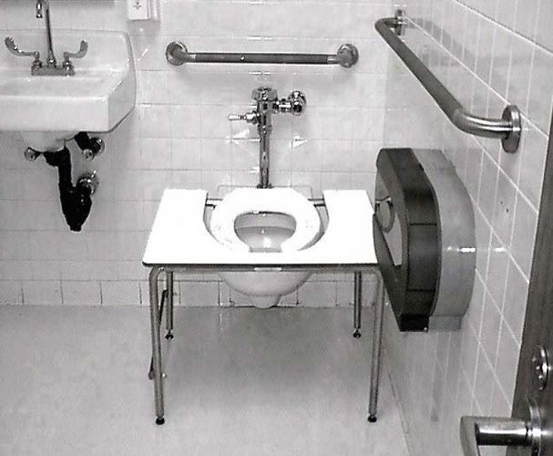 Standard Toilet Transfer Bench On Sale Free Shipping