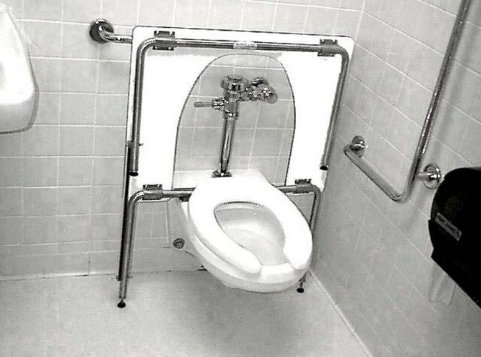 Standard Toilet Transfer Bench On Sale Free Shipping